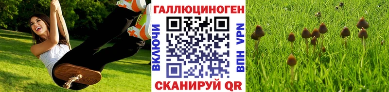 Псилоцибиновые грибы Cubensis  Тотьма 